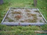 image of grave number 363550